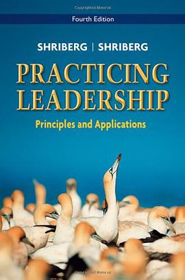 Practicing Leadership Principles and Applications pdf epub mobi 下载