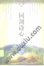 同剖诗心 pdf epub mobi 电子书 下载