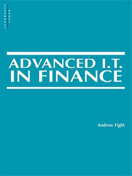 Advanced IT In Finance pdf epub mobi 电子书 下载