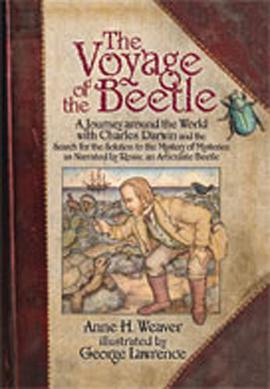 The Voyage of the Beetle pdf epub mobi 电子书 下载