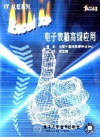IT认证系列 Excel XP 电子表格高级应用 pdf epub mobi 电子书 下载