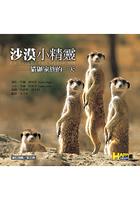 沙漠小精靈-貓鼬家族的一天