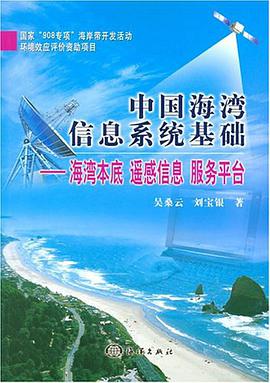 中国海湾信息系统基础 pdf epub mobi 电子书 下载