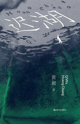 迟湖 pdf epub mobi 电子书 下载