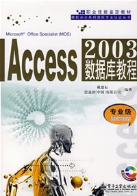 Access 2003数据库教程 pdf epub mobi 电子书 下载
