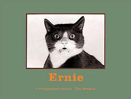 Ernie pdf epub mobi 电子书 下载