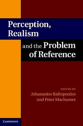 Perception, Realism and the Problem of Reference pdf epub mobi 电子书 下载