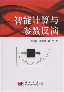 智能计算与参数反演 pdf epub mobi 下载