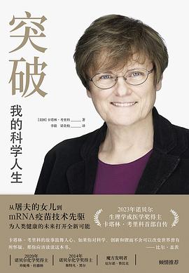 突破 pdf epub mobi 电子书 下载