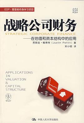 战略公司财务 pdf epub mobi 电子书 下载