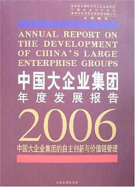 中国大企业集团年度发展报告2006 pdf epub mobi 电子书 下载