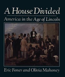 A House Divided pdf epub mobi 电子书 下载