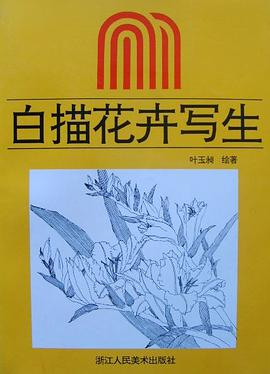白描花卉写生
