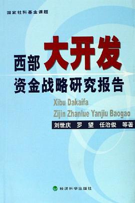 西部大开发资金战略研究报告 pdf epub mobi 电子书 下载