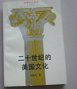 二十世纪美国文化 pdf epub mobi 电子书 下载