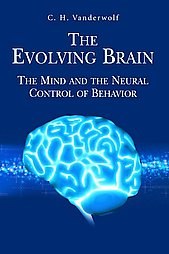 The Evolving Brain pdf epub mobi 下载