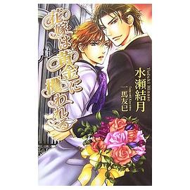 花嫁は黄金に攫われる pdf epub mobi 电子书 下载