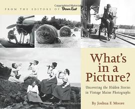 What's in a Picture? pdf epub mobi 電子書 下載