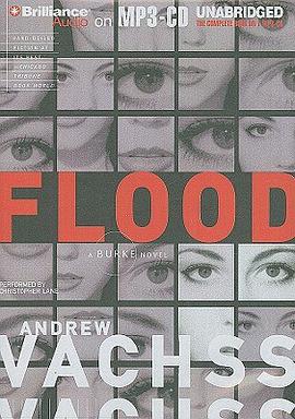 Flood pdf epub mobi 电子书 下载