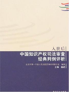 入世後中國知識産權司法審查經典判例評析 pdf epub mobi 電子書 下載