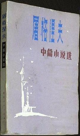 屠格涅夫中篇小说选 pdf epub mobi 电子书 下载