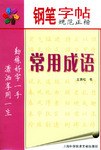 钢笔字帖规范正楷:常用成语 (平装) pdf epub mobi 电子书 下载