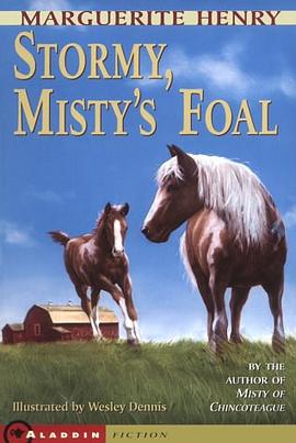 Stormy Mistys Foal pdf epub mobi 电子书 下载