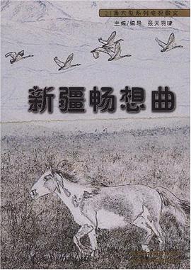 新疆畅想曲 pdf epub mobi 电子书 下载
