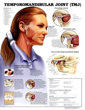 Temporomandibular Joint pdf epub mobi 电子书 下载