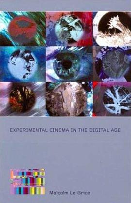 Experimental Cinema in the Digital Age pdf epub mobi 下载