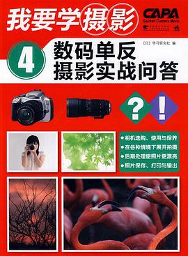数码单反摄影实战问答 pdf epub mobi 下载