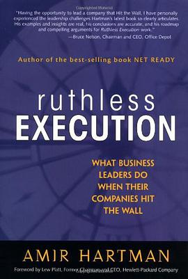 Ruthless Execution pdf epub mobi 电子书 下载