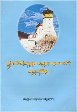 山南藏医院专家论文集 pdf epub mobi 电子书 下载