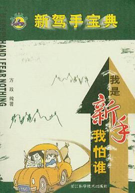 新驾手宝典 pdf epub mobi 电子书 下载
