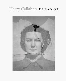 Harry Callahan pdf epub mobi 电子书 下载