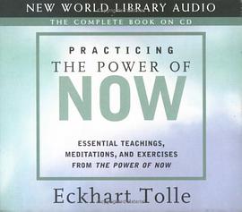 Practicing the Power of Now pdf epub mobi 电子书 下载