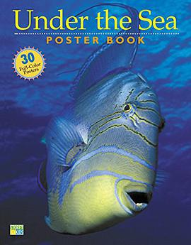 Under the Sea Poster Book pdf epub mobi 電子書 下載