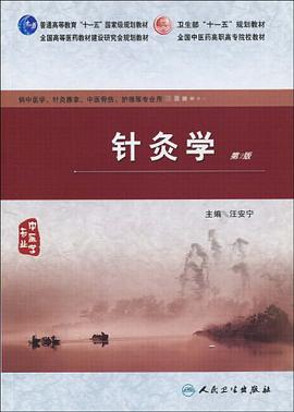 针灸学 pdf epub mobi 电子书 下载