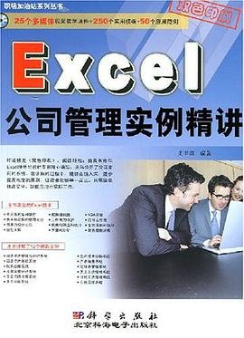Excel公司管理实例精讲 pdf epub mobi 电子书 下载