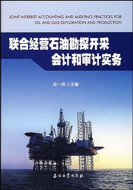 联合经营石油勘探开采会计和审计实务 pdf epub mobi 电子书 下载