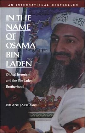 In the Name of Osama Bin Laden pdf epub mobi 电子书 下载
