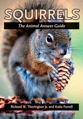 Squirrels