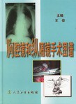 胸腔镜和纵隔镜手术图谱 pdf epub mobi 电子书 下载