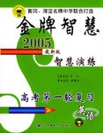 金牌智慧2005最新版智慧演练 pdf epub mobi 电子书 下载
