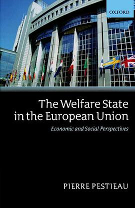 The Welfare State In The European Union pdf epub mobi 下载