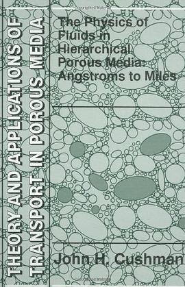 The Physics of Fluids in Hierarchical Porous Media pdf epub mobi 電子書 下載
