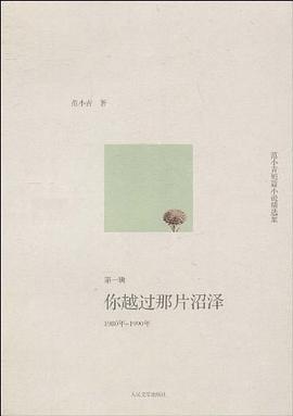 你越过那片沼泽 pdf epub mobi 电子书 下载