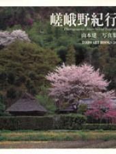 嵯峨野紀行 pdf epub mobi 电子书 下载