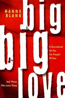 Big Big Love pdf epub mobi 电子书 下载