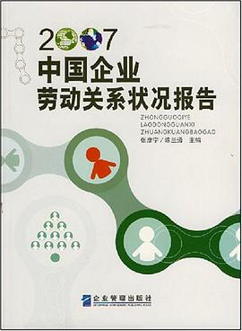 2007中国企业劳动关系状况报告 pdf epub mobi 电子书 下载